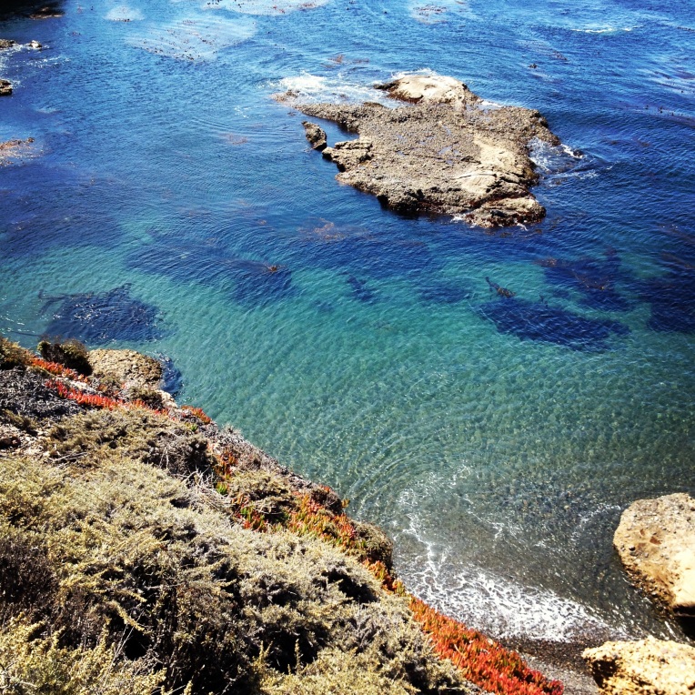 Point Lobos www.bluemesablog.com